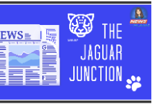 The Jaguar Junction - Friday Edition 
